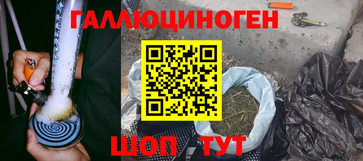 Галлюциногенные грибы Cubensis Бирск
